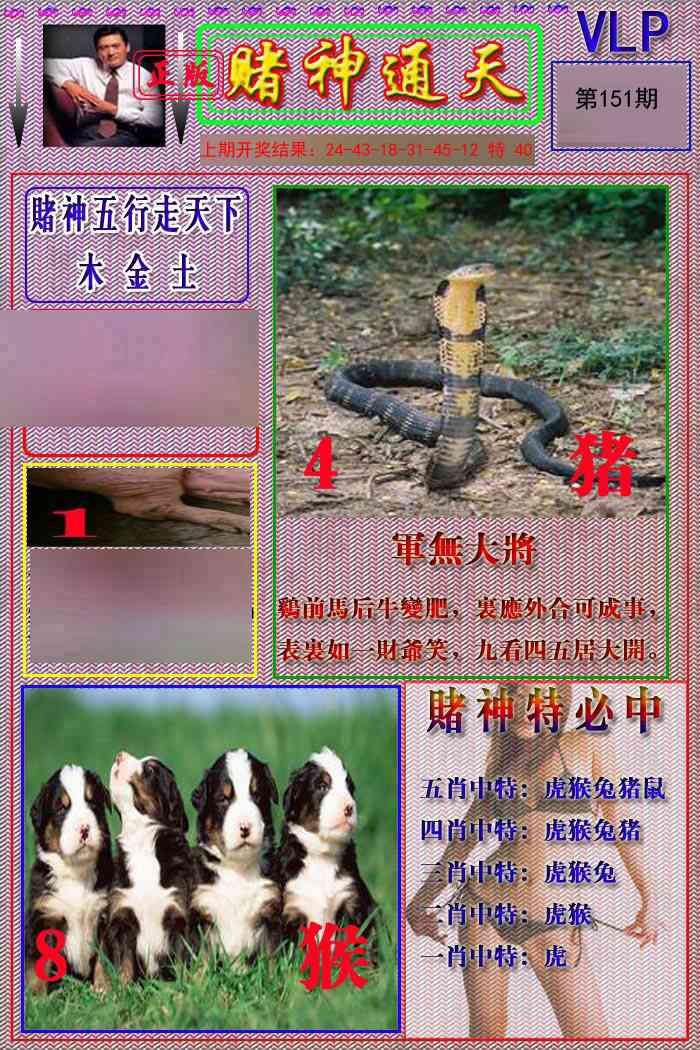 151期赌神通天报[图]