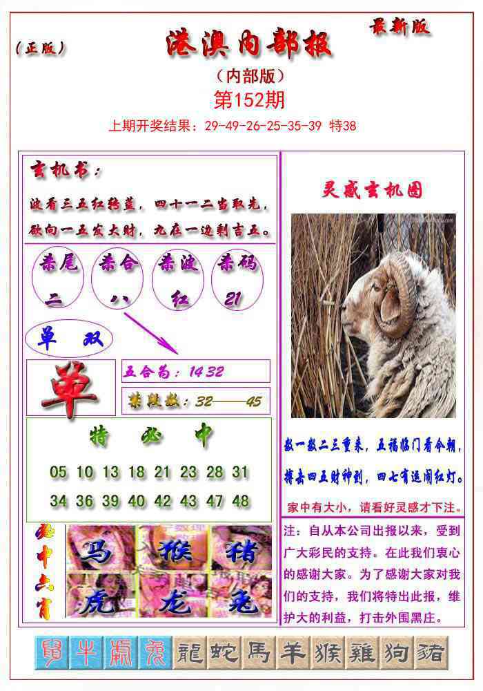 152期港澳报[图]