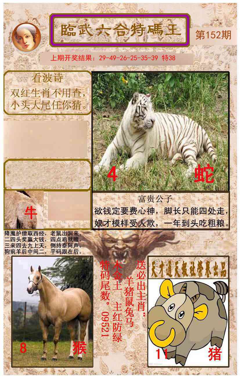 152期临武六合特码王[图]