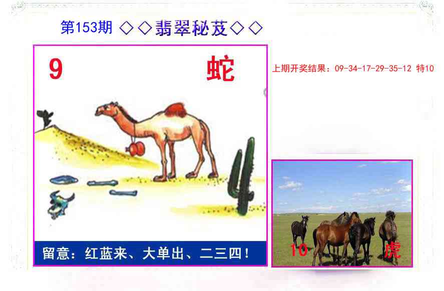 153期翡翠报[图]