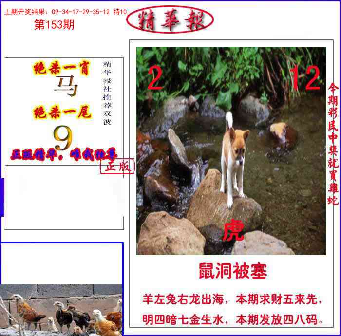 153期新精华报报[图]