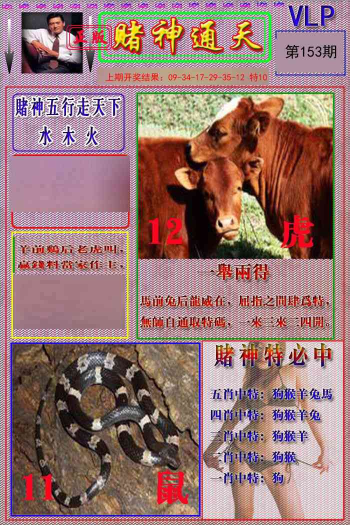 153期赌神通天报[图]
