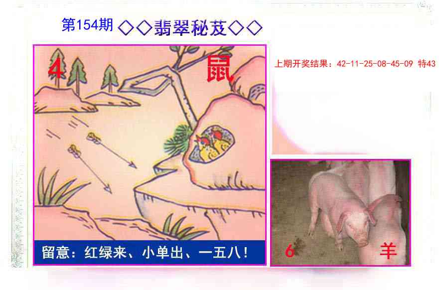 154期翡翠报[图]