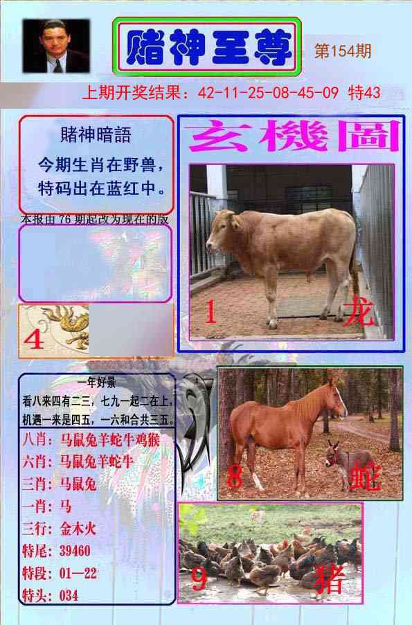 154期赌神至尊[图]