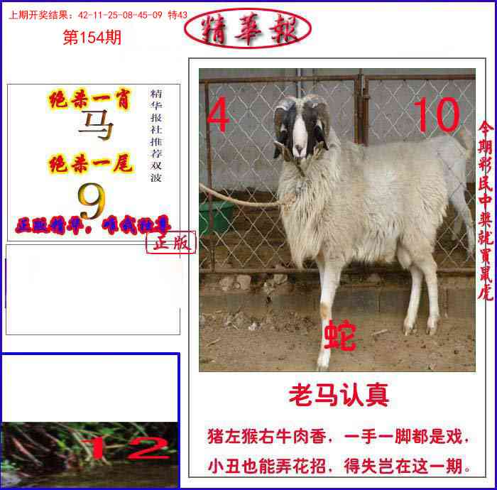 154期新精华报报[图]
