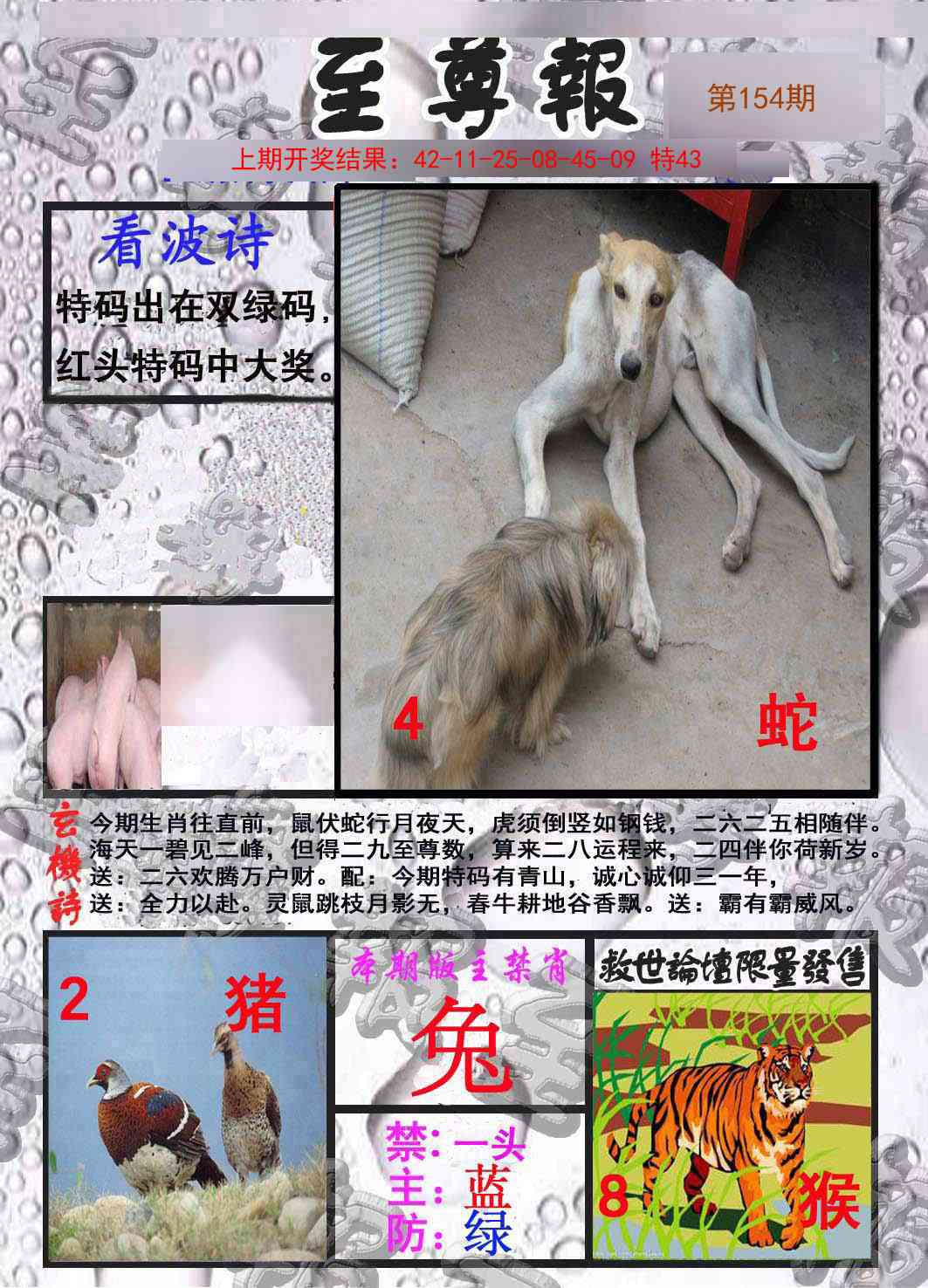 154期至尊报[图]