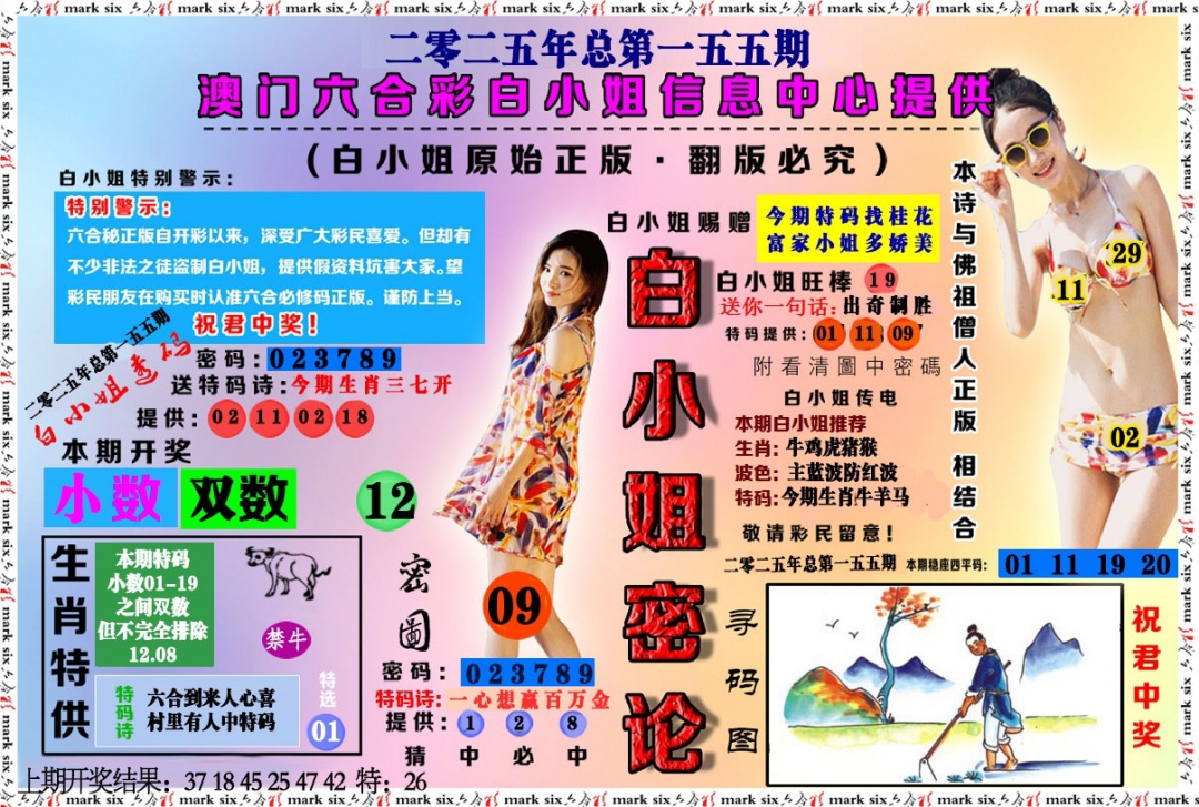 155期白小姐密论[图]