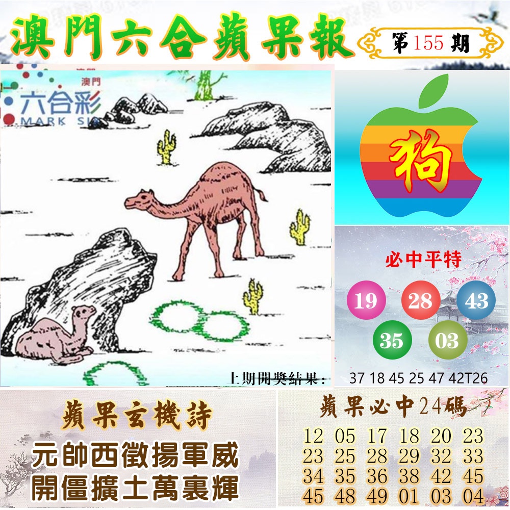 155期苹果报[图]