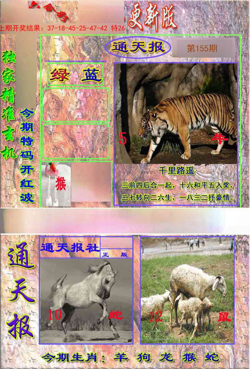 155期新通报[图]