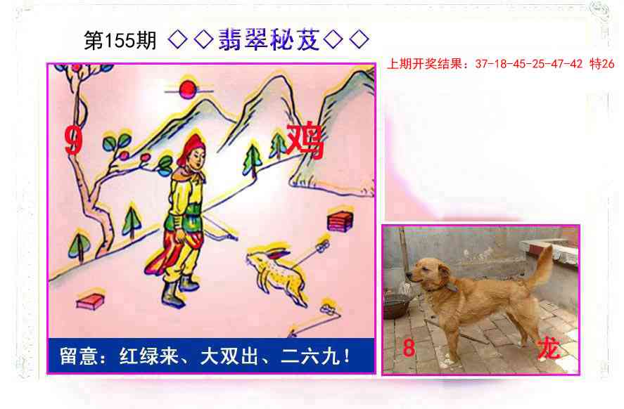 155期翡翠报[图]