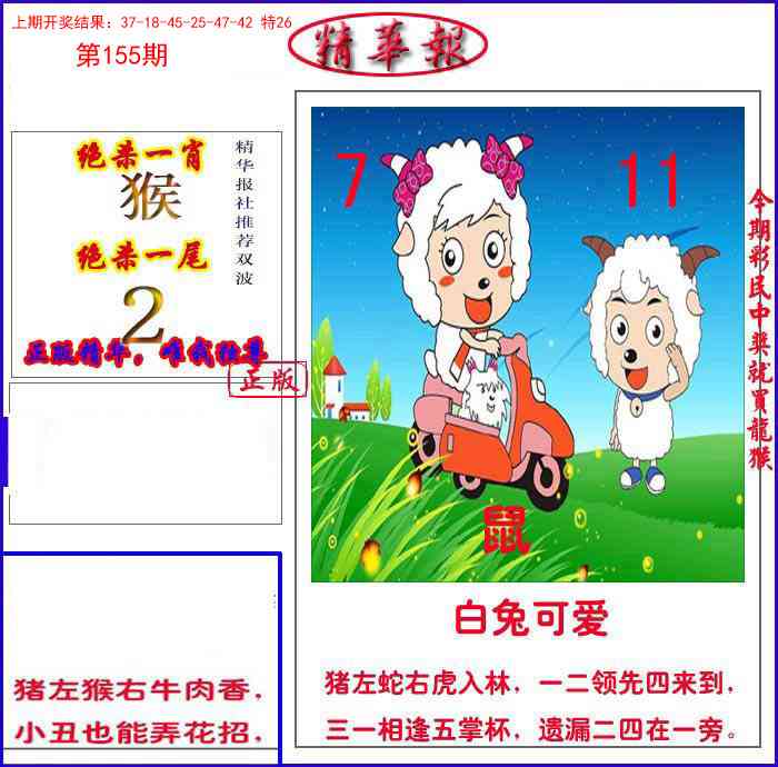 155期新精华报报[图]