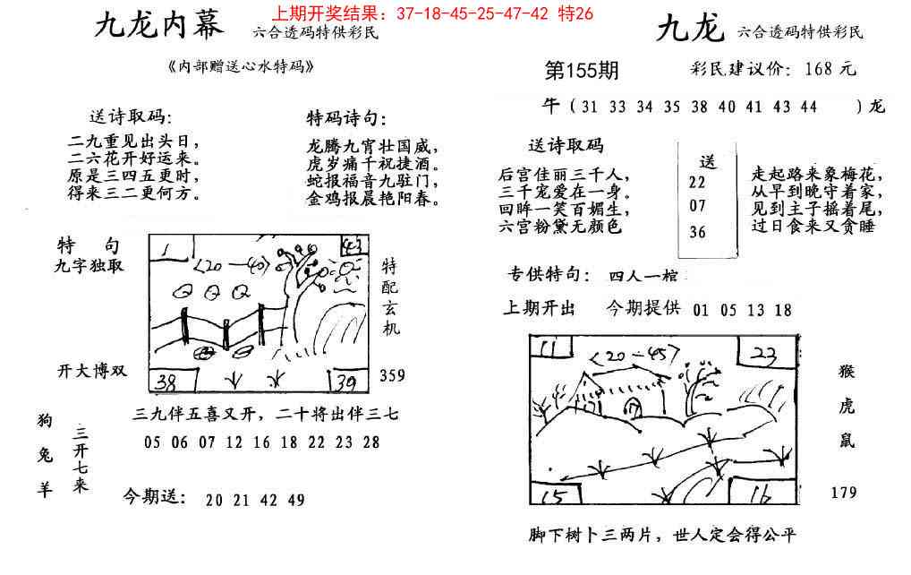 155期九龙内幕[图]