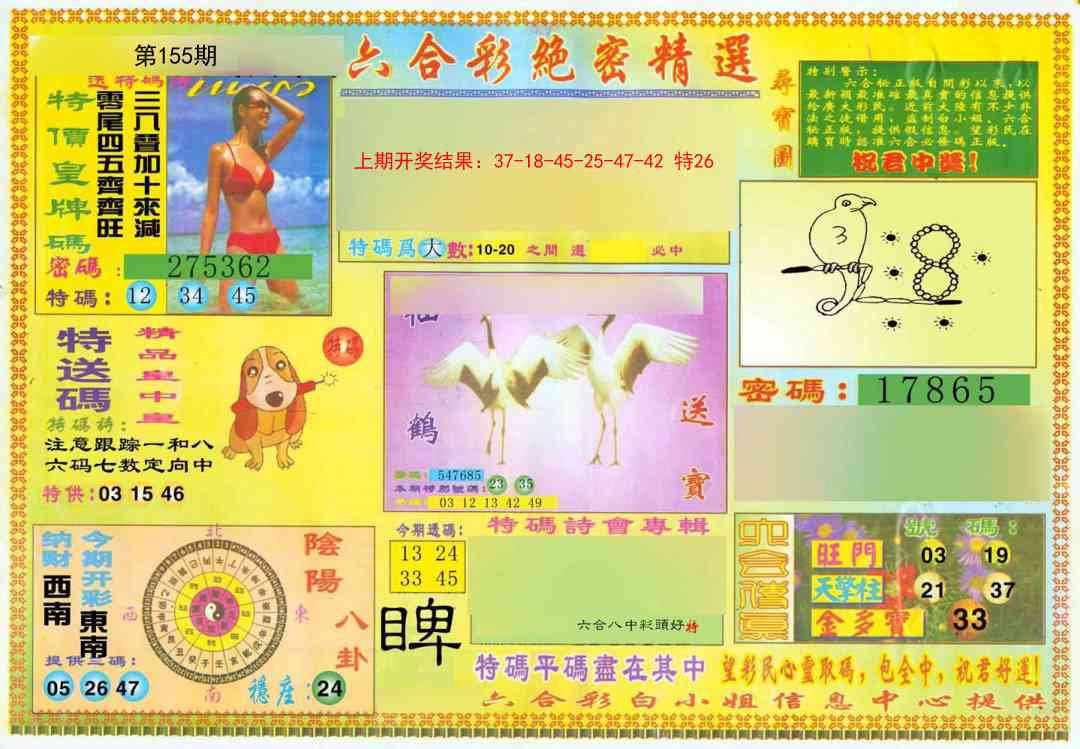 155期绝密精选A[图]