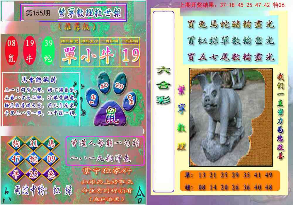 155期数理救世报[图]