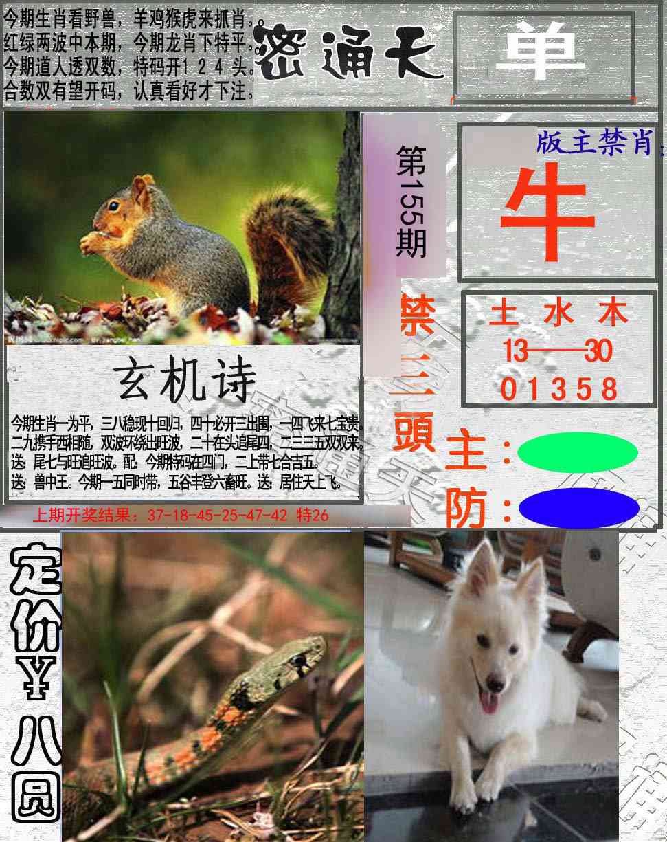 155期密通天[图]