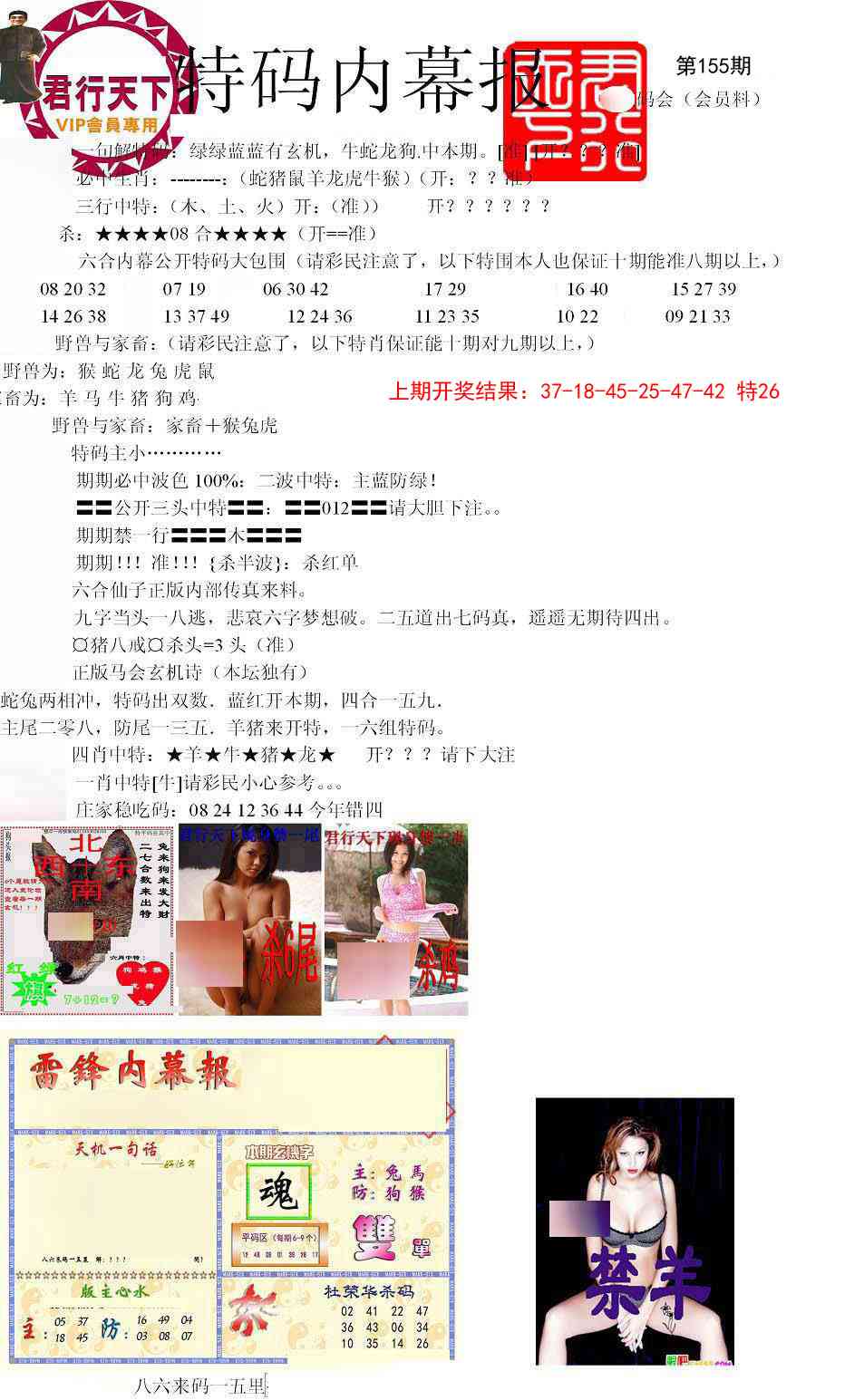 155期特码内幕报[图]