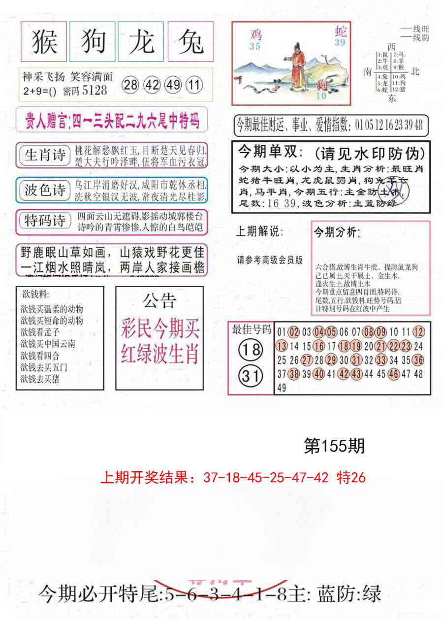 155期凤凰闲情A[图]