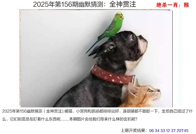 156期幽默猜测[图]