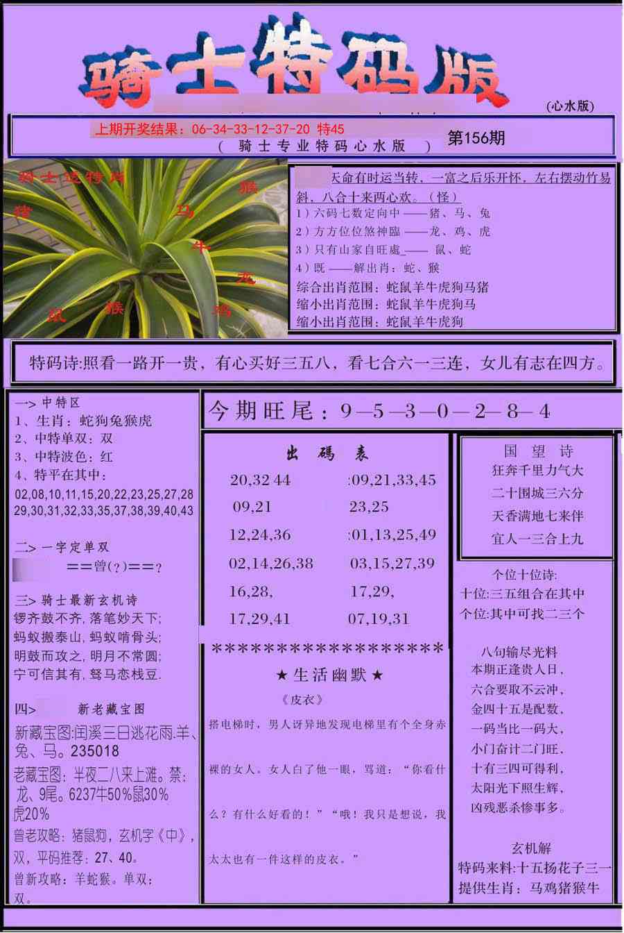 156期骑士特码版[图]