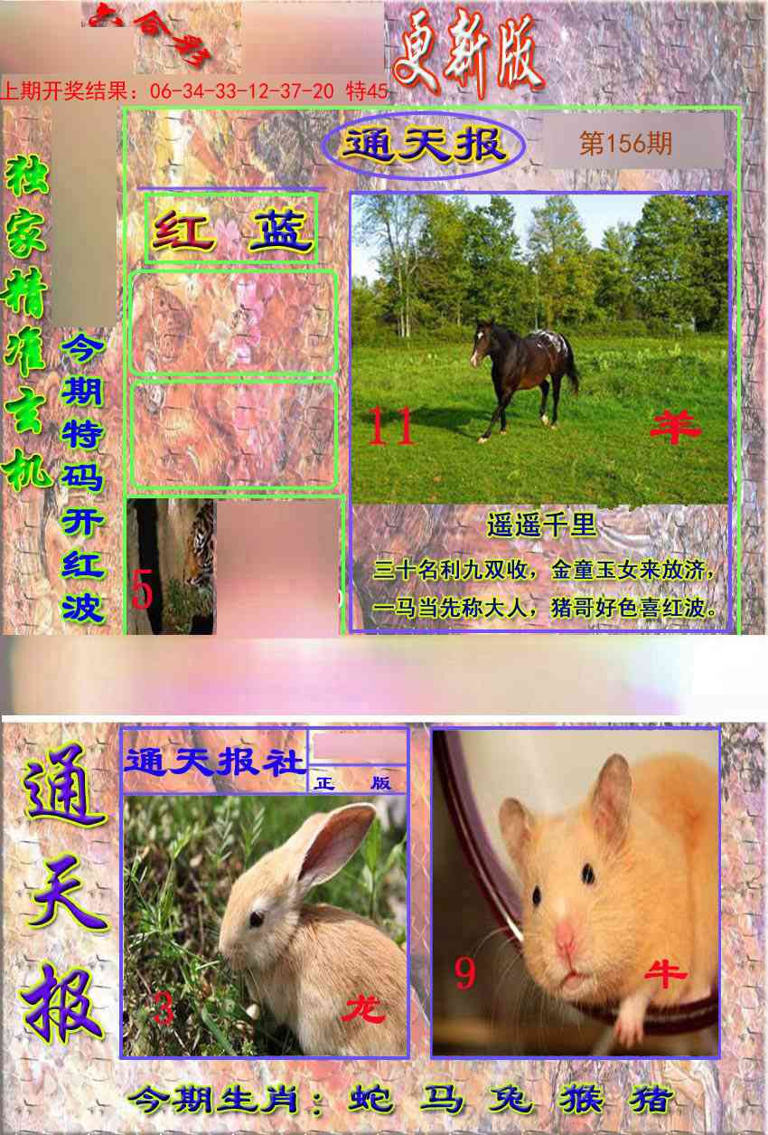 156期新通报[图]