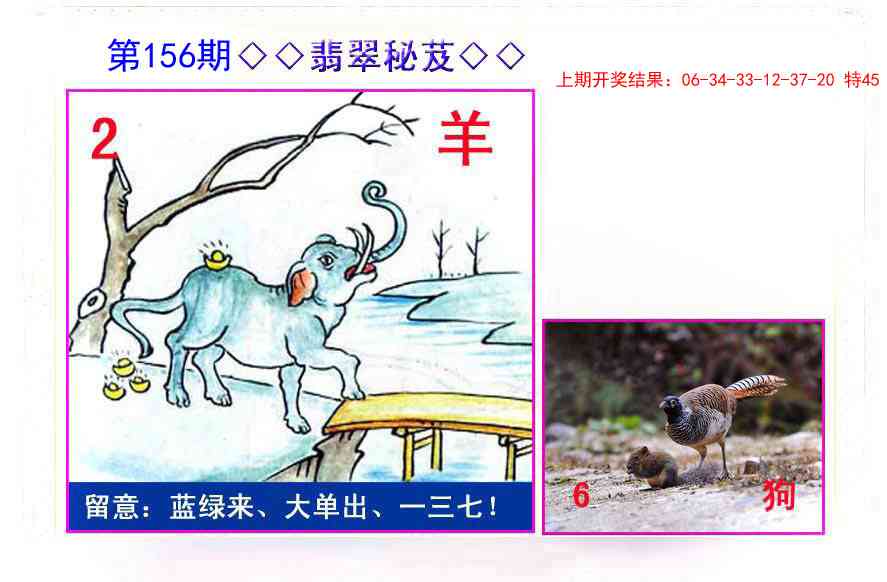 156期翡翠报[图]