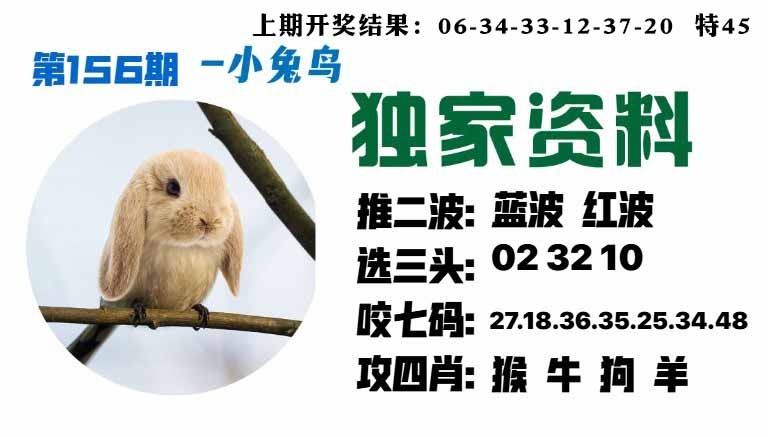 156期小兔鸟[图]