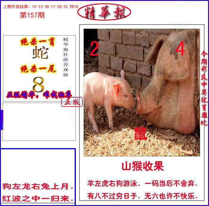157期新精华报报[图]