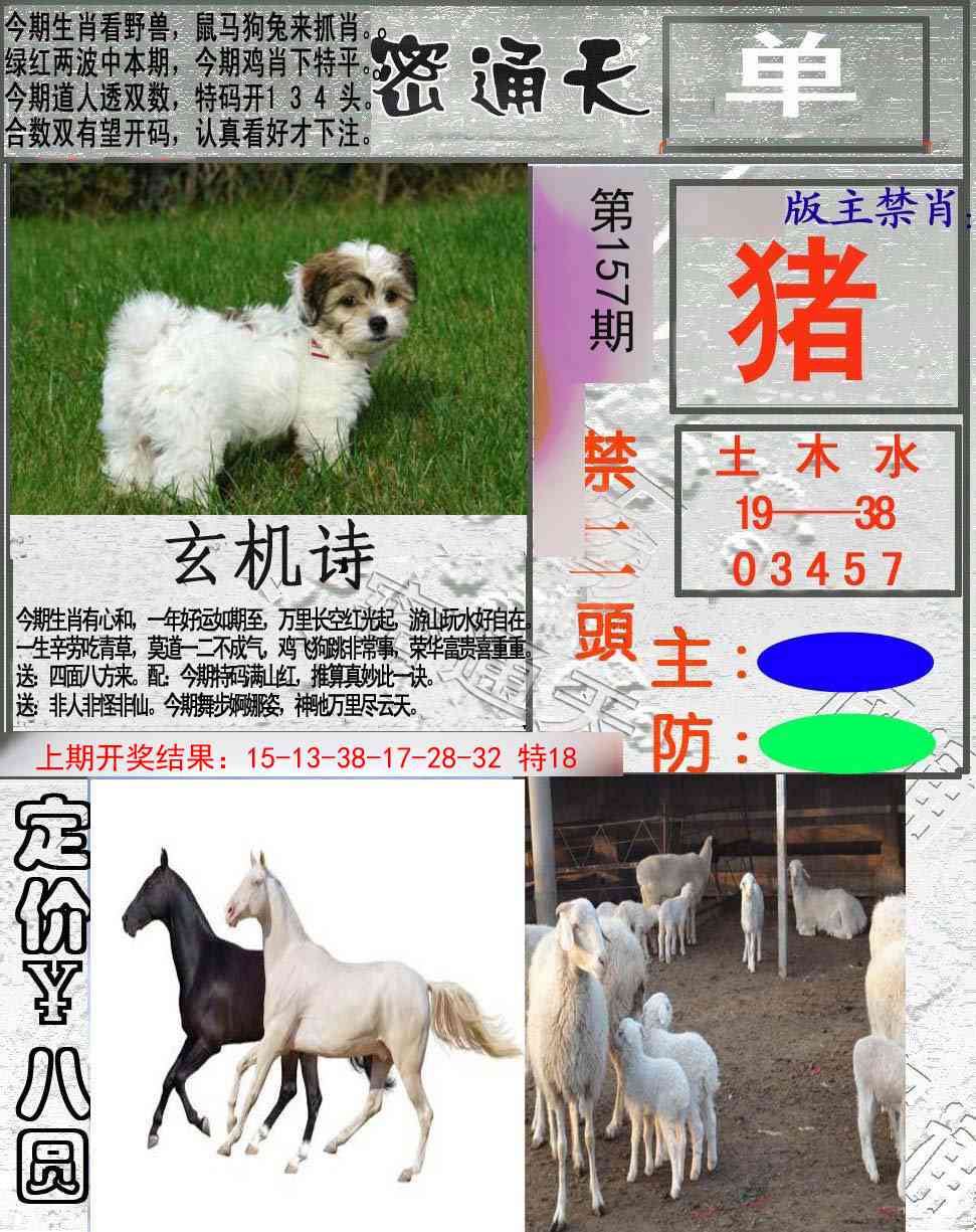 157期密通天[图]