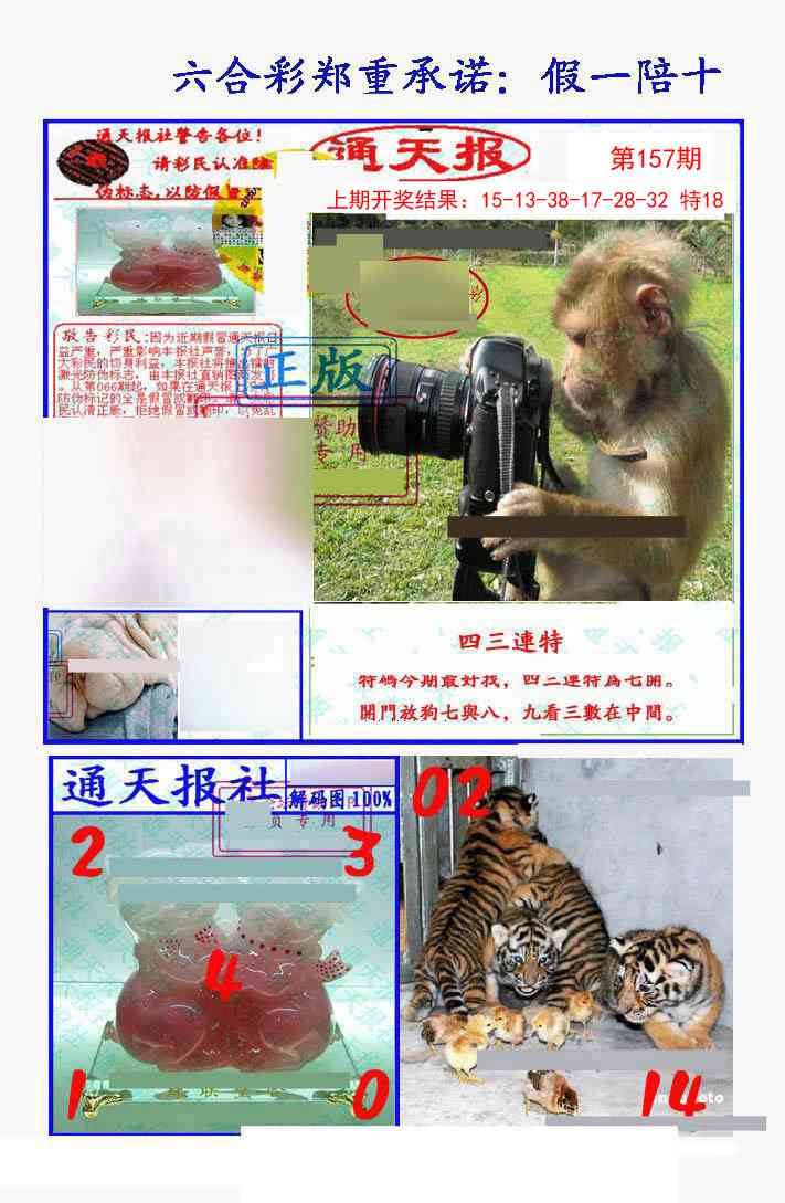 157期假一陪十通天报[图]