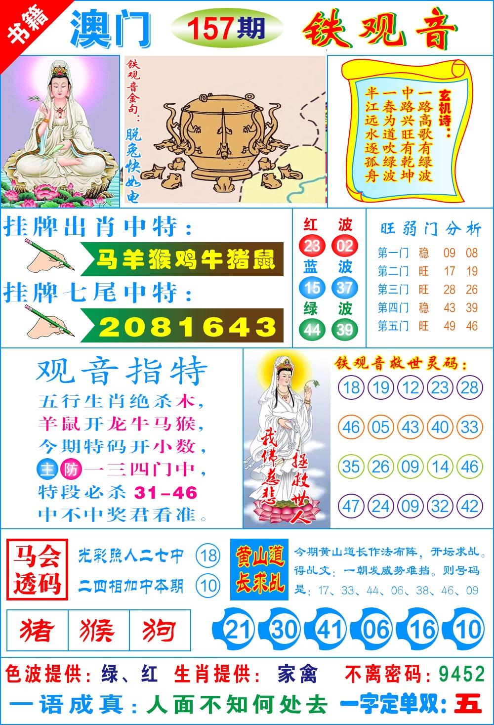 157期澳门铁观音[图]