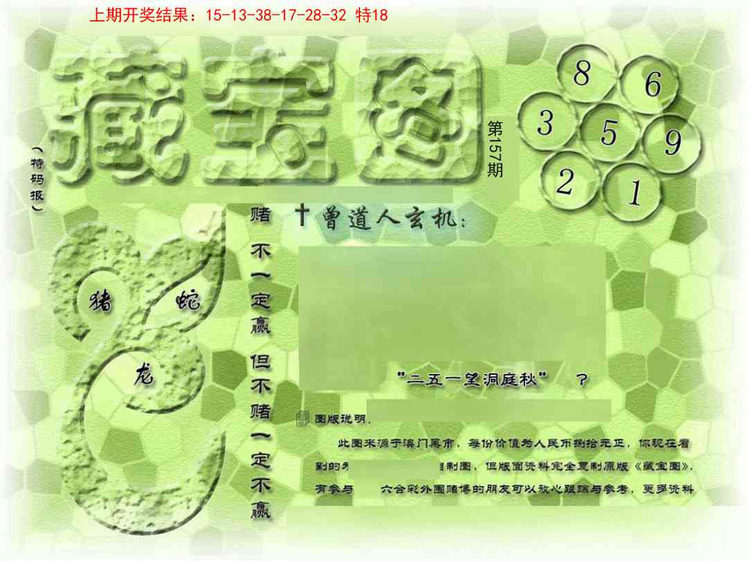 157期假新藏宝图[图]