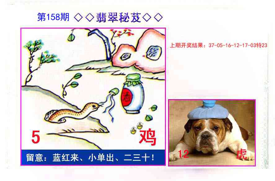 158期翡翠报[图]