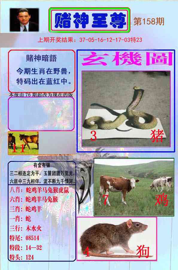 158期赌神至尊[图]