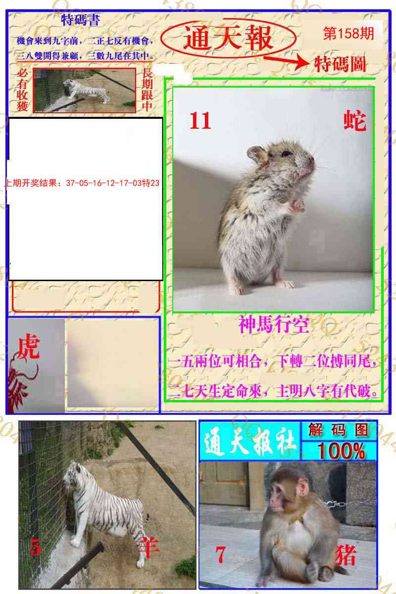 158期通天特解图[图]