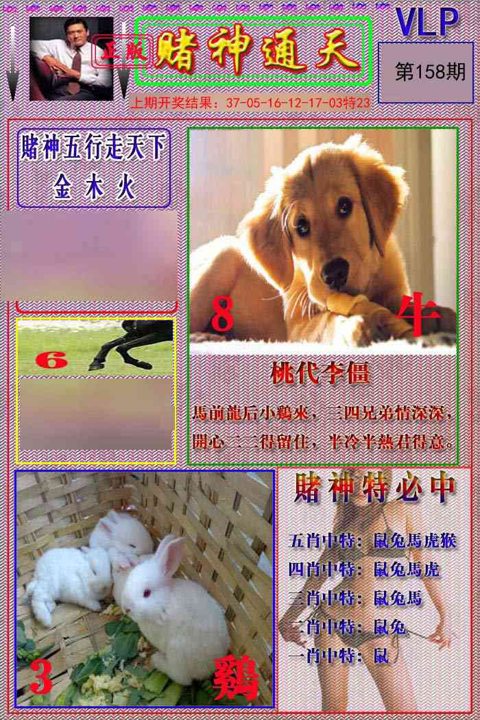 158期赌神通天报[图]