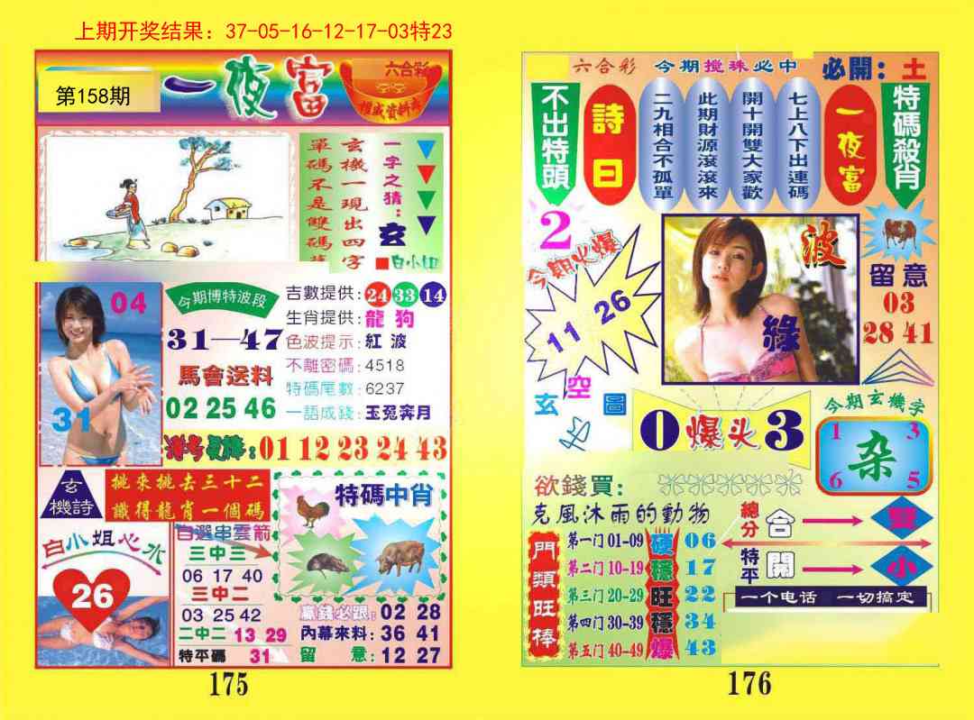 158期一夜富[图]