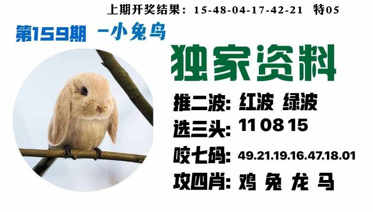 159期小兔鸟[图]
