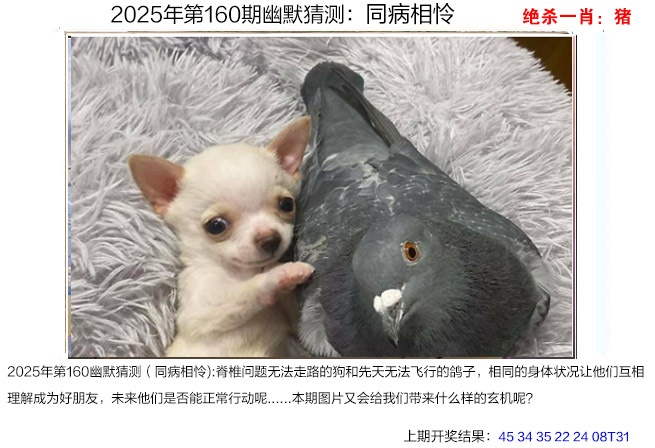 160期幽默猜测[图]