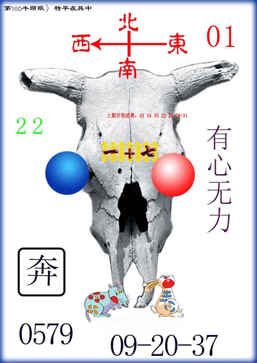 160期牛头报[图]