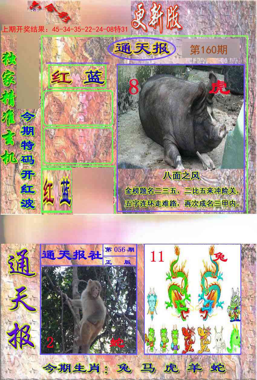 160期新通报[图]