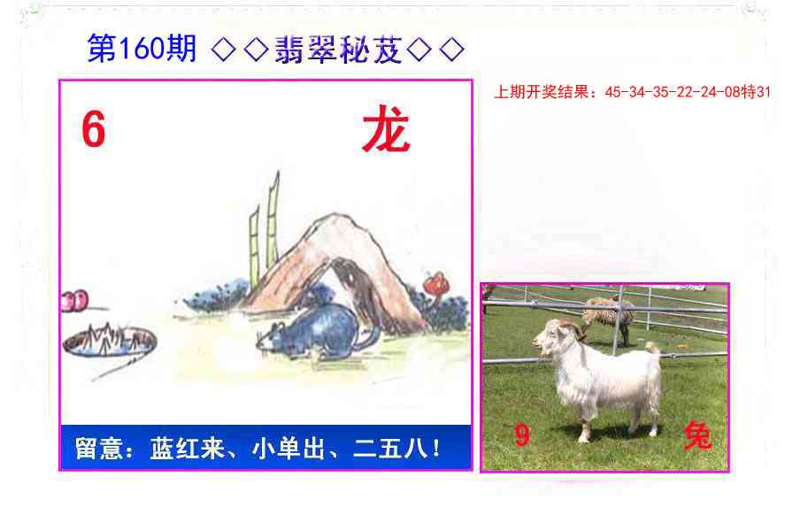 160期翡翠报[图]