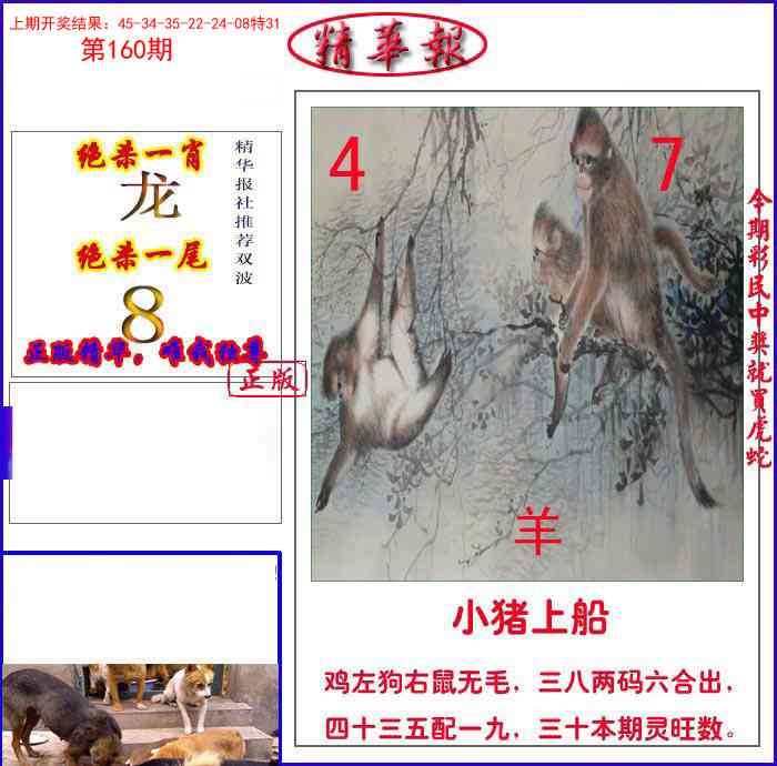160期新精华报报[图]
