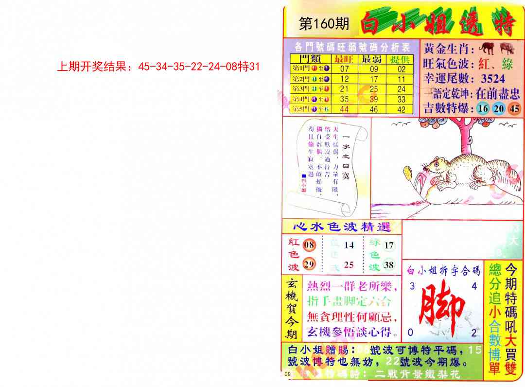 160期白小姐透特[图]