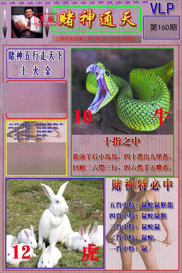 160期赌神通天报[图]