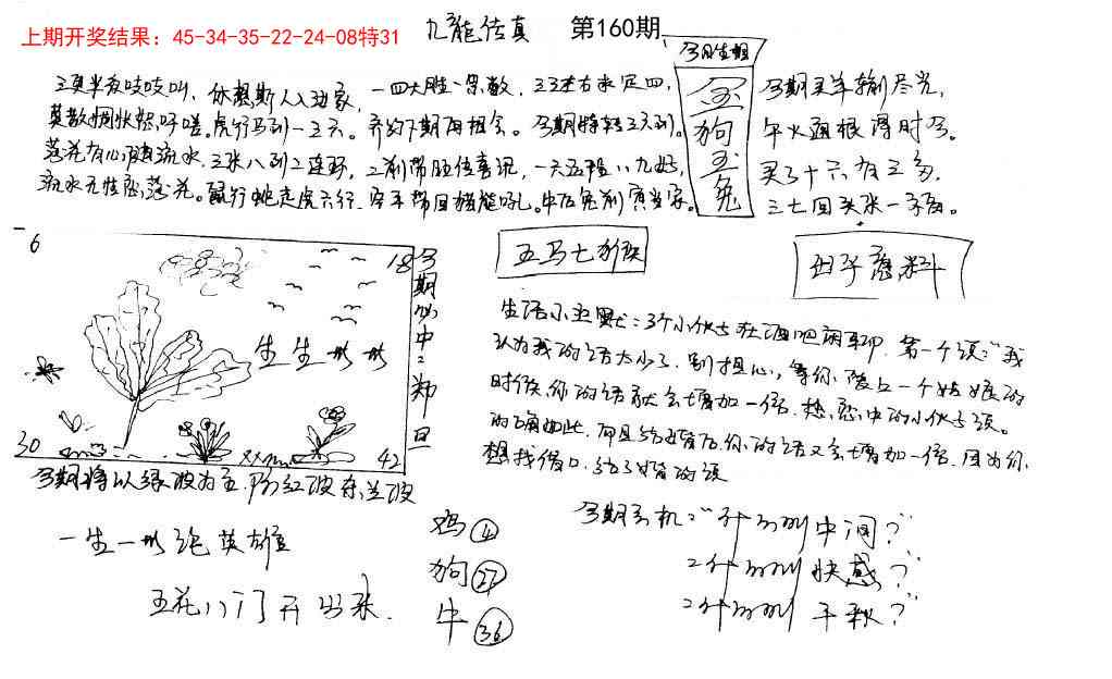 160期手写九龙内幕[图]