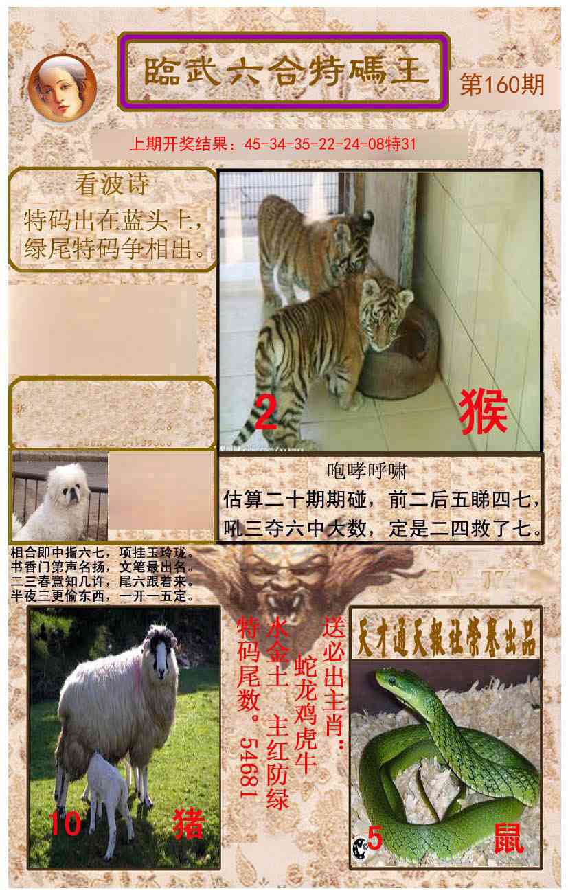 160期临武六合特码王[图]