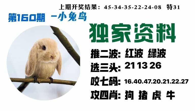 160期小兔鸟[图]
