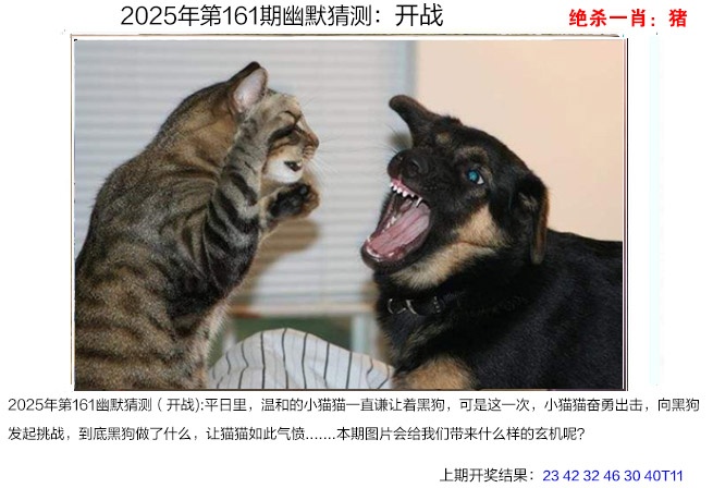 161期幽默猜测[图]