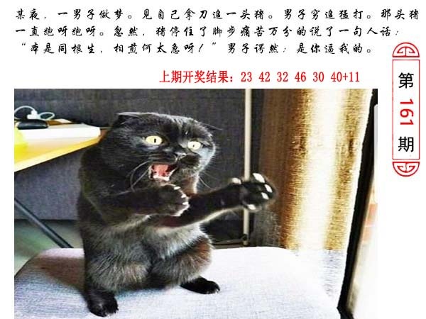 161期澳门生活幽默[图]