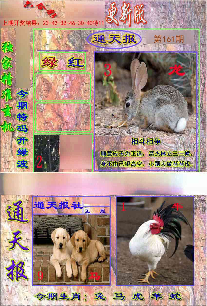 161期新通报[图]